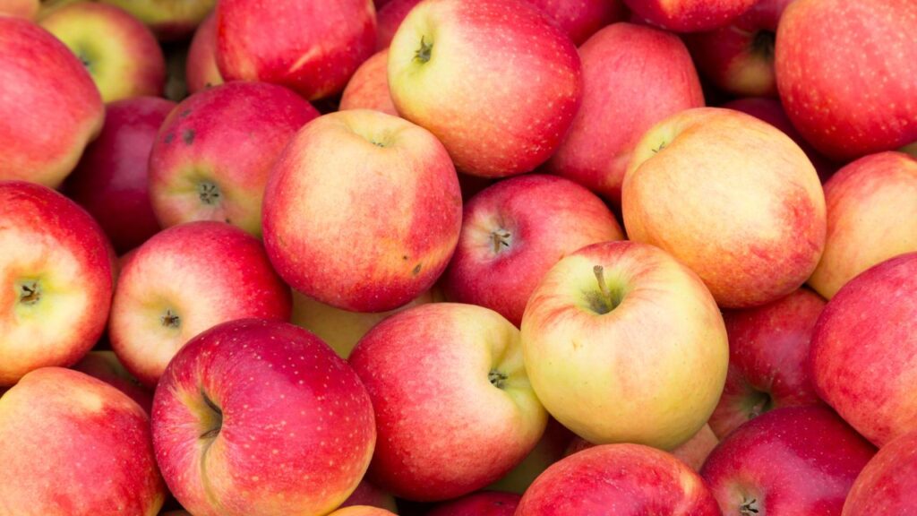 apples for women
