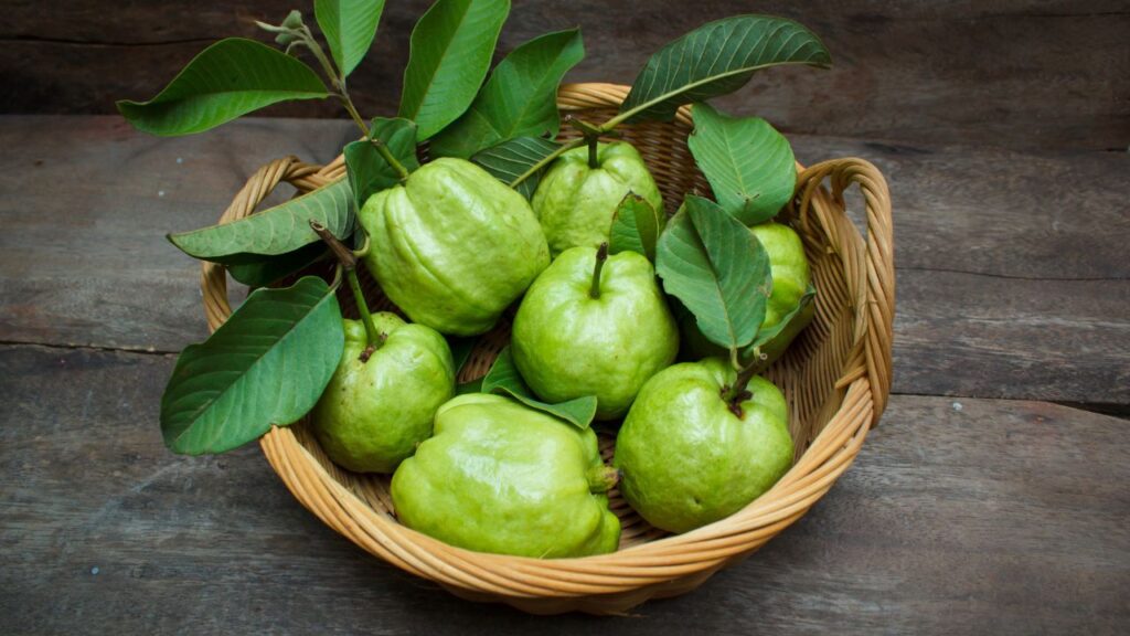 Guava