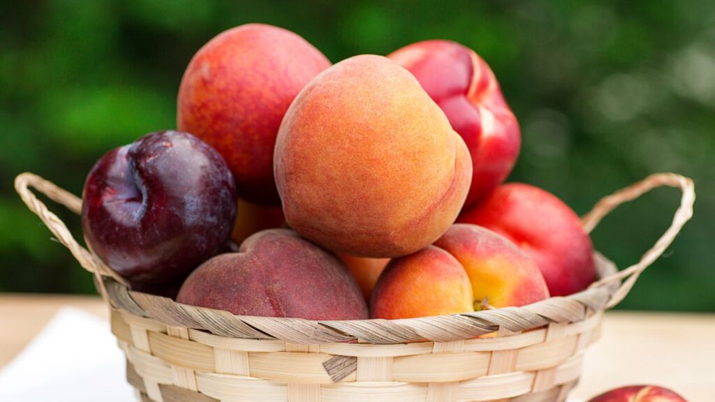 Stone Fruits for women
