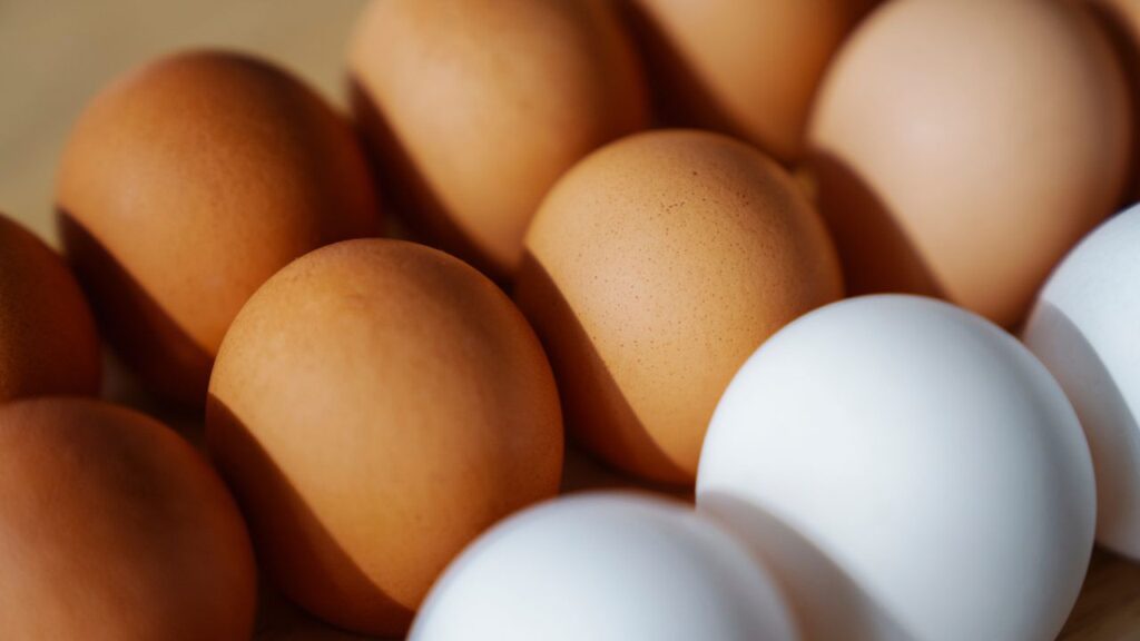 Cage-Free vs. Pasture-Raised Eggs