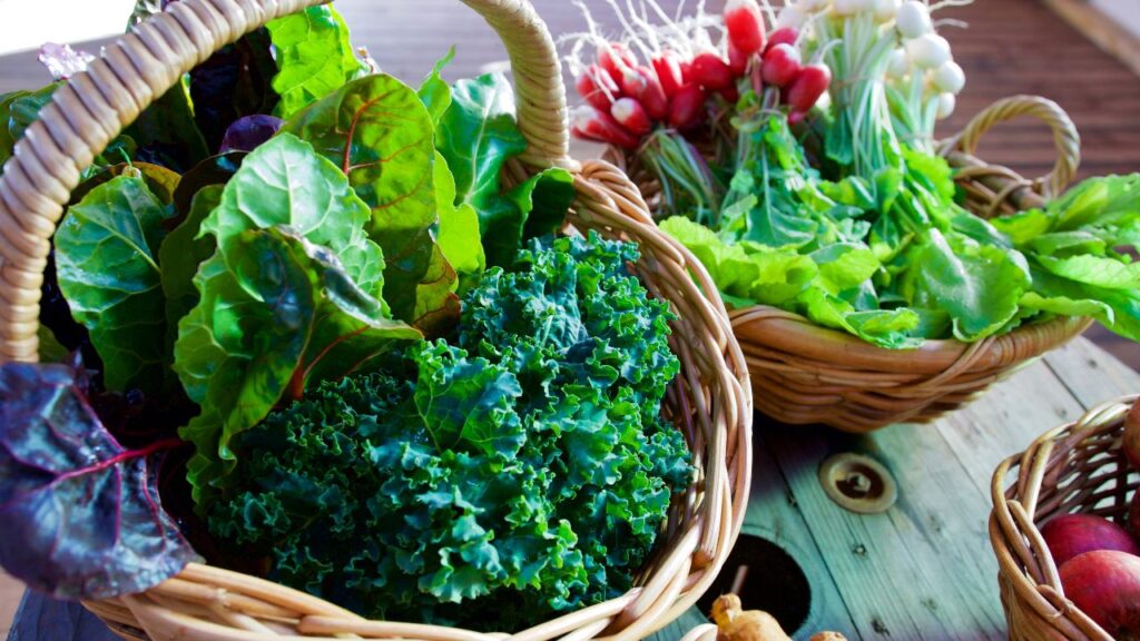 Dark green leafy vegetables