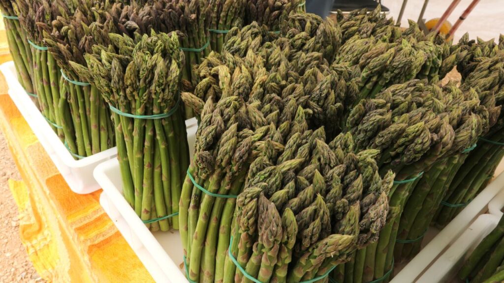 Storing Roasted Asparagus