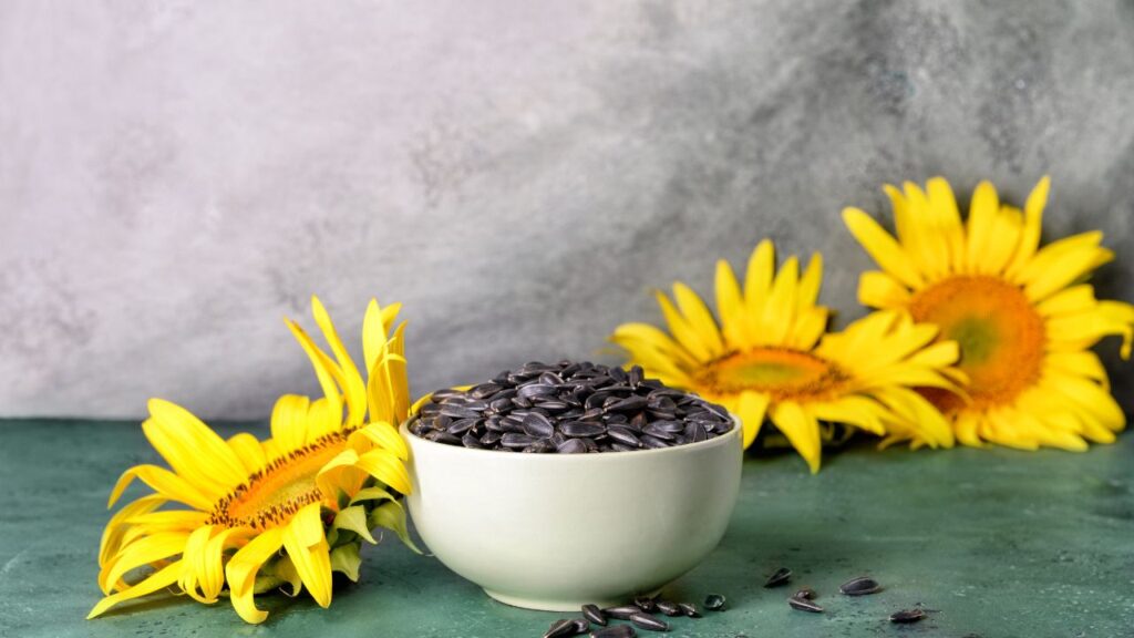 Sunflower Seeds Health Benefits