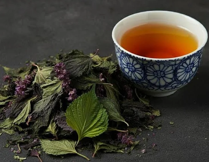 Nước tía tô có thể bổ sung dịch khi mắc cúm A nhưng chưa được chứng minh có tác dụng điều trị bệnh.