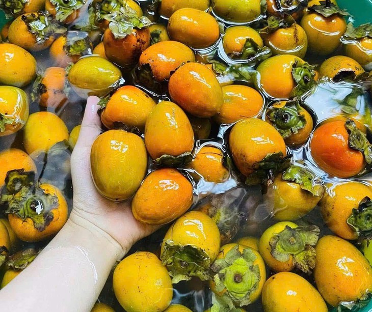 Hồng ngâm có thể gây tắc ruột ở người cao tuổi hoặc có tổn thương đường tiêu hóa.